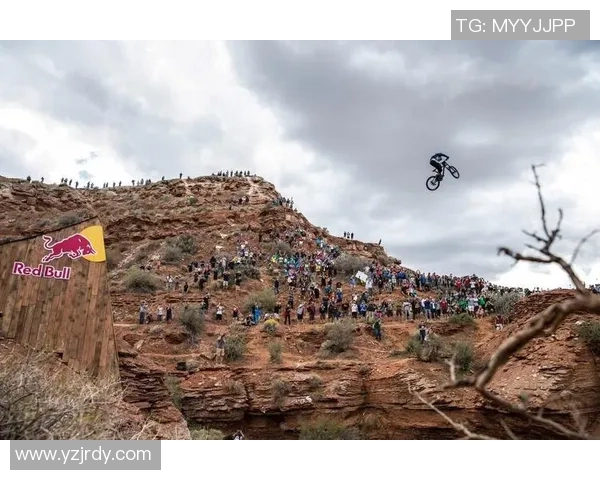 李芳的极限运动人生：在挑战中追寻自由与激情的深度对话